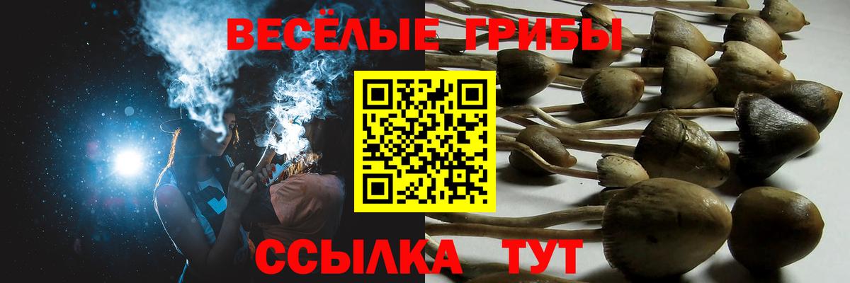 Псилоцибиновые грибы Magic Shrooms Нерюнгри